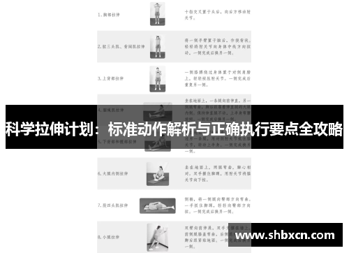 科学拉伸计划：标准动作解析与正确执行要点全攻略